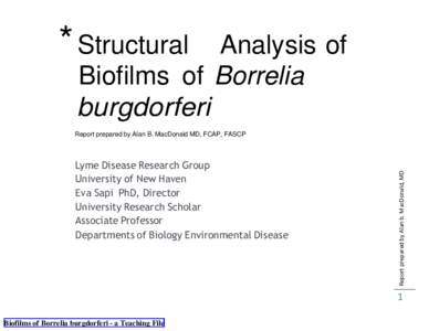 * Structural  Analysis of Biofilms of Borrelia burgdorferi