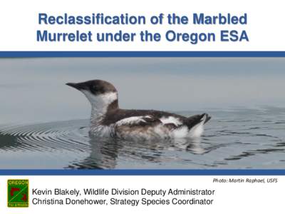 Reclassification of the Marbled Murrelet under the Oregon ESA Photo: Martin Raphael, USFS  Kevin Blakely, Wildlife Division Deputy Administrator