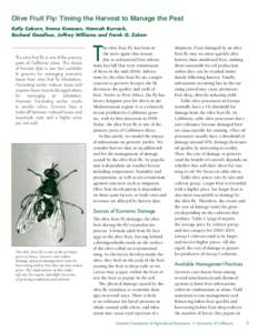 Olive Fruit Fly: Timing the Harvest to Manage the Pest Kelly Coburn, Emma Knoesen, Hannah Burrack, Rachael Goodhue, Jeffrey Williams and Frank G. Zalom The olive fruit fly is one of the primary pests of California olives