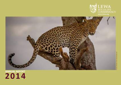 2014 © Marcus Newton / www.marcusnewton.com ANNUAL REPORT  Lewa Wildlife Conservancy Board of Directors