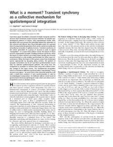 What is a moment? Transient synchrony as a collective mechanism for spatiotemporal integration J. J. Hopfield*† and Carlos D. Brody‡ *Department of Molecular Biology, Princeton University, Princeton, NJ; a