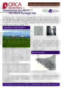 Newsletter 02/11: Geophysical Survey Giving the past a presence now and for the future Geophysical Survey in the World Heritage Site Geophysical survey in and around the World Heritage Site (WHS) has involved the survey 