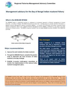 Regional Fisheries Management Advisory Committee  Management advisory for the Bay of Bengal Indian mackerel fishery What is the BOBLME RFMAC The BOBLME Project is supporting countries to implement an ecosystem approach t