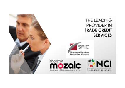 THE LEADING PROVIDER IN TRADE CREDIT SERVICES  WHAT WILL