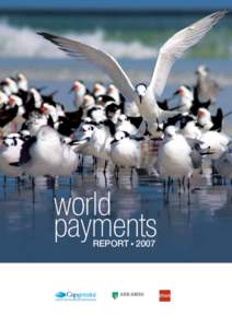 world payments REPORT 2007 CONTENTS