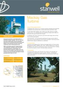 Mackay Gas Turbine About the power station The Mackay Gas Turbine is an on-demand remote controlled power generator operated for short periods when customer demand for electricity is high. It is also Black Start capable,