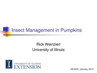 Insect Management in Pumpkins Rick Weinzierl University of Illinois ISCAOC, January, 2014