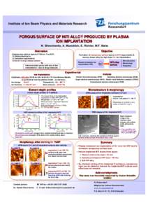 Porous Surface on NiTi Alloy Produced by Plasma Ion Implantation