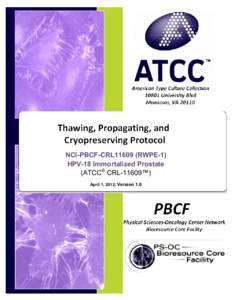 SOP:  Thawing, Propagation and Cryopreservation of NCI-PBCF-CRL11609 (RWPE-1)