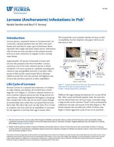 FA185  Lernaea (Anchorworm) Infestations in Fish1 Natalie Steckler and Roy P. E. Yanong2  Introduction