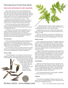 Growing Sweet Cicely from Seeds Seeds need cold treatment in order to germinate. Sweet cicely (Myrrhis odorata) is an underrated plant deserving of more attention as a culinary herb and as a sugar saver. The sweet, anise