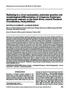 Blackwell Science, LtdOxford, UKBIJBiological Journal of the Linnean Society0024-4066The Linnean Society of London, 2004? Original Article KAEK RIVER RADIATION M. GLAUBRECHT and F. KÖHLER