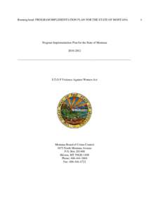 Stop VAWA implementation plan-Montana