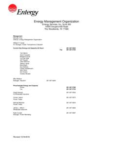 Microsoft Word - Energy Management Organization -updatedocx