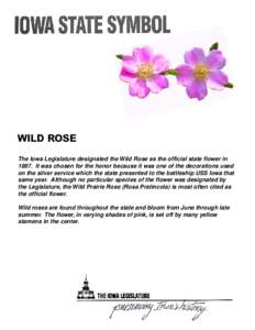 WILD ROSE The Iowa Legislature designated the Wild Rose as the official state flower in[removed]It was chosen for the honor because it was one of the decorations used on the silver service which the state presented to the 