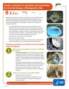 Ayude a controlar los mosquitos que transmiten los virus del dengue, chikungunya y Zika B ZZZ  Z.
