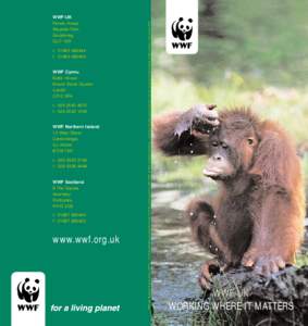 WWF-UK - working where it matters