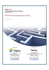 1B - Vidyo Cryptographic Security Kernel Security Policy