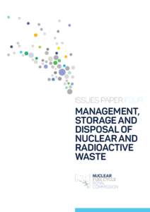 ISSUES PAPER FOUR  MANAGEMENT, STORAGE AND DISPOSAL OF NUCLEAR AND