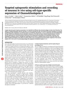 protocol  Targeted optogenetic stimulation and recording of neurons in vivo using cell-type-specific expression of Channelrhodopsin-2 Jessica A Cardin1, 2, 7, Marie Carlén3, 4, 7, Konstantinos Meletis3, 4, Ulf Knoblich1