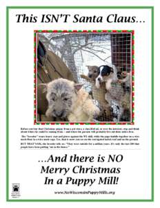 This ISN’T Santa Claus…  Before you buy that Christmas puppy from a pet store, a classified ad, or over the internet, stop and think about where he could be coming from -- and where his parents will probably live out