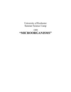 Antonie van Leeuwenhoek / Microorganism / Tobacco mosaic virus / Protozoa / Agar / Euglena / Algae / Protist / Virus / Bacteria / Tobacco / Infection