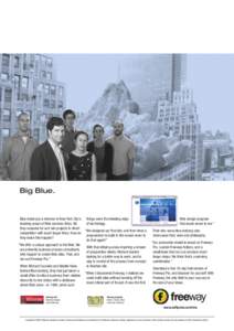 Big Blue.  Blue Iceberg is a minnow in New York City’s teeming ocean of Web services firms. Yet they compete for and win projects in direct competition with much larger firms. How do