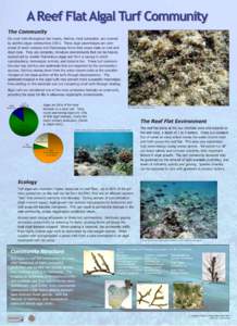 A Reef Flat Algal Turf Community The Community On coral reefs throughout the tropics, shallow, hard substrates are covered by epilithic algae communities (EAC). These algal assemblages are comprised of small compact and 