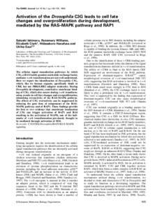 The EMBO Journal Vol.18 No.1 pp.145–155, 1999  Activation of the Drosophila C3G leads to cell fate changes and overproliferation during development, mediated by the RAS–MAPK pathway and RAP1