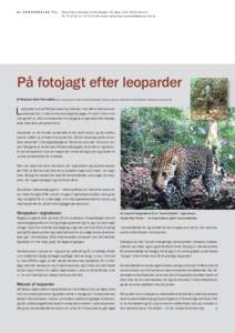 AL HENVENDELSE TIL:  Aktuel Naturvidenskab, Ny Munkegade 120, Bygn. 1520, 8000 Aarhus C Tlf.: , E-post:   På fotojagt efter leoparder