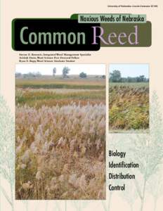 University of Nebraska–Lincoln ExtensionEC164 EC166 Noxious Weeds of Nebraska  Common Reed