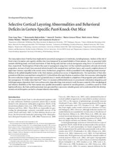 The Journal of Neuroscience, July 1, 2009 • 29(26):8335– 8349 • 8335  Development/Plasticity/Repair Selective Cortical Layering Abnormalities and Behavioral Deficits in Cortex-Specific Pax6 Knock-Out Mice