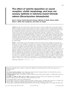 1469  The effect of vaterite deposition on sound reception, otolith morphology, and inner ear sensory epithelia in hatchery-reared Chinook salmon (Oncorhynchus tshawytscha)