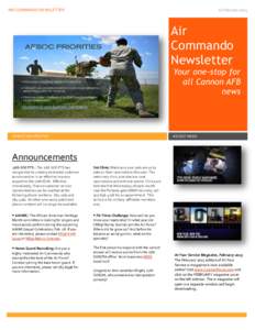 AIR COMMANDO NEWSLETTER  11 February 2015 Air Commando
