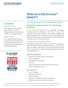 TM  Data Sheet Wide Area File Services™ (WAFS™)