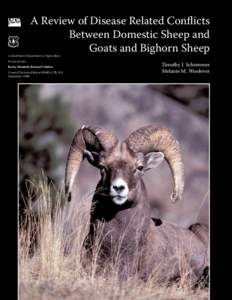 A Review of Disease Related Conflicts Between Domestic Sheep and Goats and Bighorn Sheep United States Department of Agriculture Forest Service