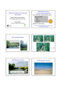 Some examples from around the world Waterharmonica constructed wetlands !