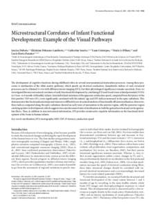 The Journal of Neuroscience, February 20, 2008 • 28(8):1943–1948 • 1943  Brief Communications Microstructural Correlates of Infant Functional Development: Example of the Visual Pathways