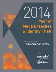 2014  Year of Mega Breaches & Identity Theft Findings from the 2014
