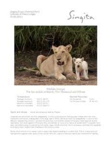 Singita Kruger National Park Lebombo & Sweni Lodges South Africa Wildlife Journal For the month of March, Two Thousand and Fifteen