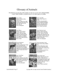 Glossary of Animals The following are just a few of the animals you may see on your visit to Global Wildlife Center. Global Wildlife is currently home to over thirty species of wildlife. Name: Addax Habitat: Northern Afr