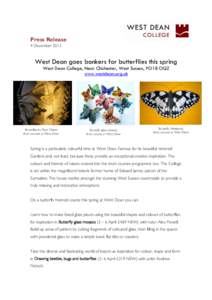 Press Release 4 December 2013 West Dean goes bonkers for butterflies this spring West Dean College, Near Chichester, West Sussex, PO18 OQZ www.westdean.org.uk