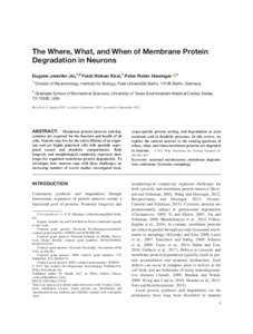 The Where, What, and When of Membrane Protein Degradation in Neurons Eugene Jennifer Jin,1,2 Ferdi Ridvan Kiral,1 Peter Robin Hiesinger 1  1