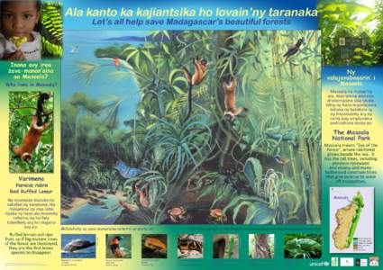 Ala kanto ka kajiantsika ho lovain’ny taranaka  © Janet Robinson Let’s all help save Madagascar’s beautiful forests
