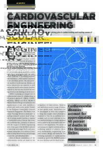 ACADEMIC  CARDIOVASCULAR ENGINEERING As engineering and medicine converge, researchers are making gains in understanding and treating causes of cardiovascular disease.
