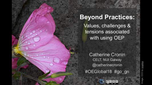 Beyond Practices: Values, challenges & tensions associated with using OEP  CELT, NUI Galway