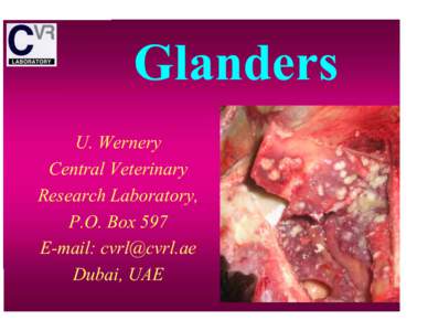 Glanders U. Wernery Central Veterinary Research Laboratory, P.O. Box 597 E-mail: [removed]