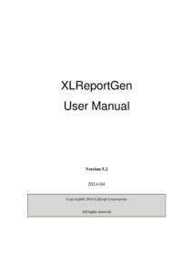 XLReportGen User Manual Version
