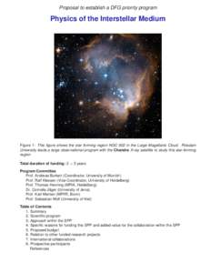 Proposal to establish a DFG priority program  Physics of the Interstellar Medium Figure 1: This figure shows the star forming region NGC 602 in the Large Magellanic Cloud. Potsdam University leads a large observational p