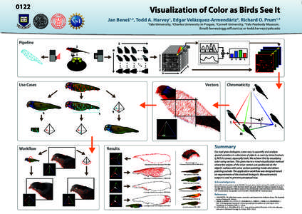 0122  Visualization of Color as Birds See It Jan Beneš , Todd A. Harvey , Edgar Velázquez-Armendáriz , Richard O. Prum 1,2